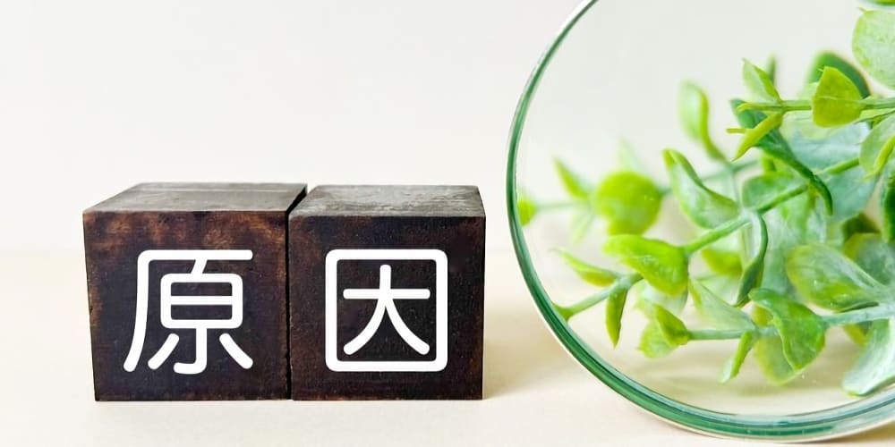 低用量ピルの休薬期間に生理が来ない6つの原因